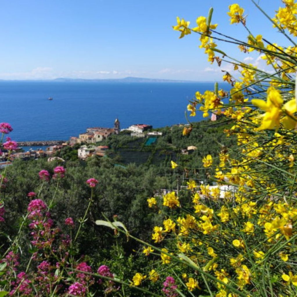 10 Experiences to Try in Spring in Sorrento