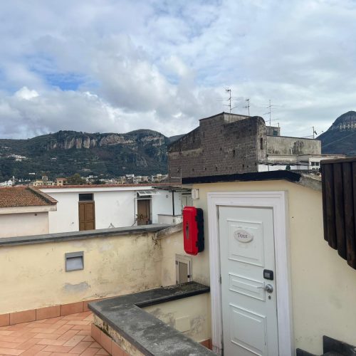 WhatsApp Image 2026-02-09 at 12.16.10 (5)